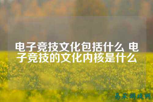 电子竞技文化包括什么 电子竞技的文化内核是什么
