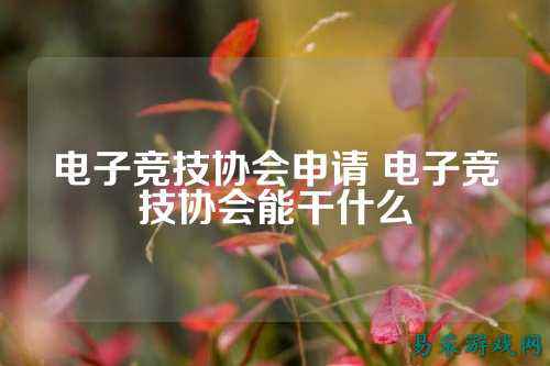 电子竞技协会申请 电子竞技协会能干什么