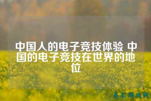 中国人的电子竞技体验 中国的电子竞技在世界的地位