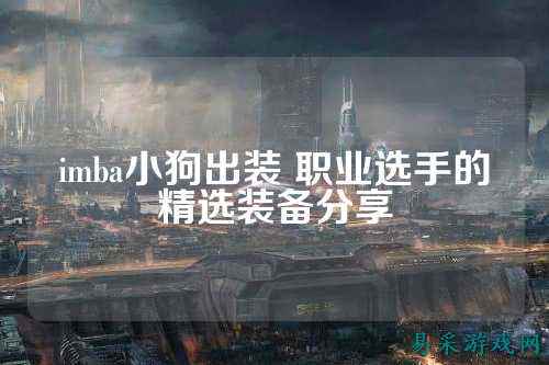 imba小狗出装 职业选手的精选装备分享