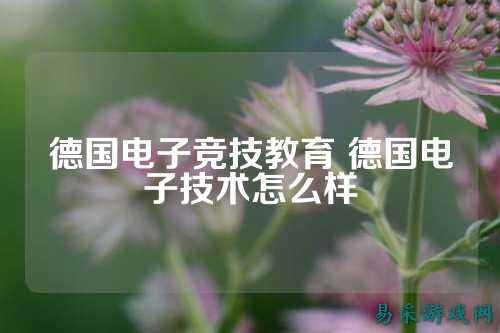 德国电子竞技教育 德国电子技术怎么样