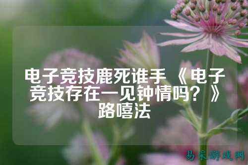 电子竞技鹿死谁手 《电子竞技存在一见钟情吗？》路嘻法