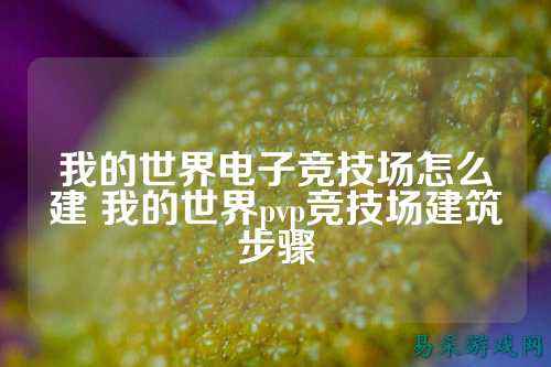 我的世界电子竞技场怎么建 我的世界pvp竞技场建筑步骤