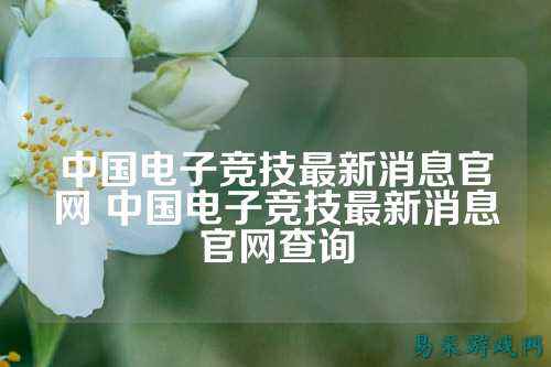 中国电子竞技最新消息官网 中国电子竞技最新消息官网查询