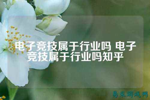 电子竞技属于行业吗 电子竞技属于行业吗知乎