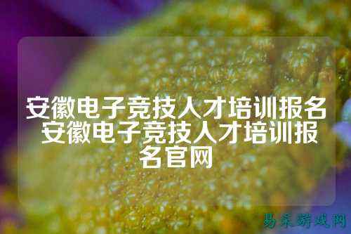 安徽电子竞技人才培训报名 安徽电子竞技人才培训报名官网