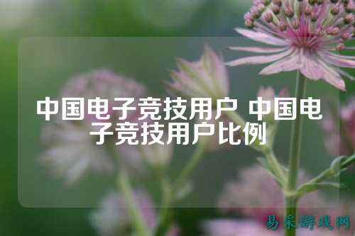 中国电子竞技用户 中国电子竞技用户比例