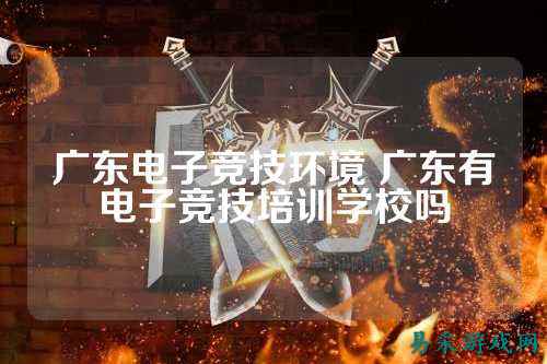 广东电子竞技环境 广东有电子竞技培训学校吗