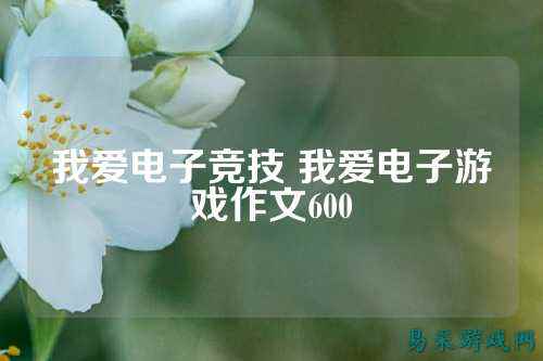 我爱电子竞技 我爱电子游戏作文600