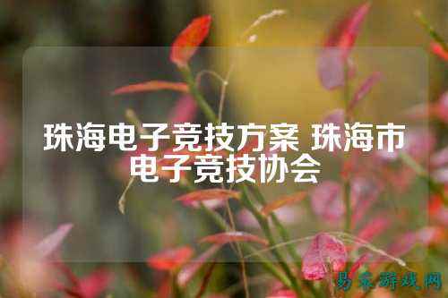 珠海电子竞技方案 珠海市电子竞技协会