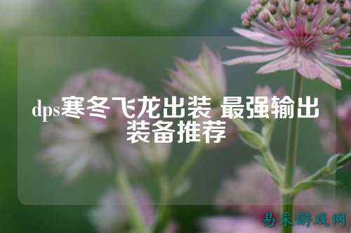 dps寒冬飞龙出装 最强输出装备推荐