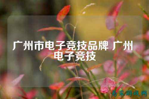 广州市电子竞技品牌 广州 电子竞技