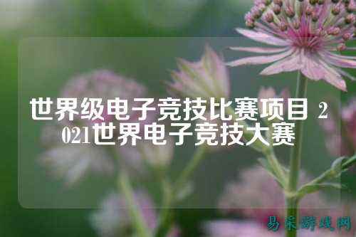 世界级电子竞技比赛项目 2021世界电子竞技大赛