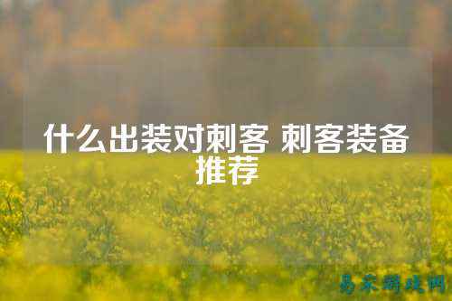 什么出装对刺客 刺客装备推荐