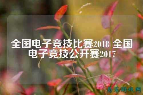 全国电子竞技比赛2018 全国电子竞技公开赛2017