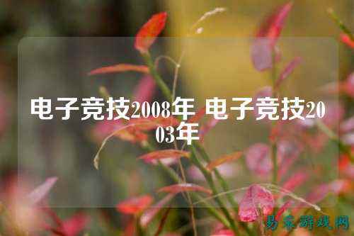 电子竞技2008年 电子竞技2003年
