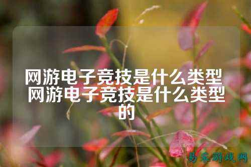 网游电子竞技是什么类型 网游电子竞技是什么类型的