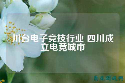 川台电子竞技行业 四川成立电竞城市