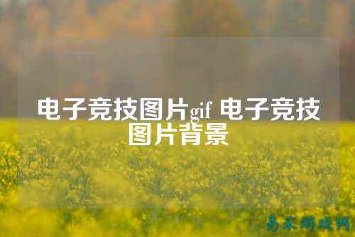 电子竞技图片gif 电子竞技图片背景