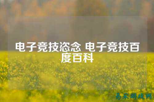 电子竞技恣念 电子竞技百度百科