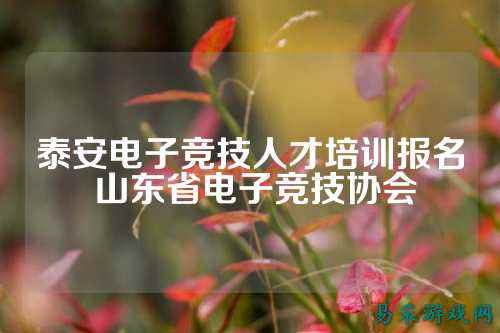 泰安电子竞技人才培训报名 山东省电子竞技协会