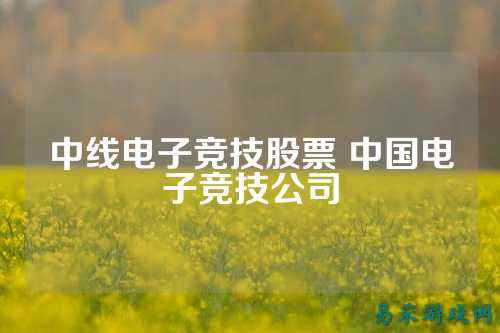 中线电子竞技股票 中国电子竞技公司