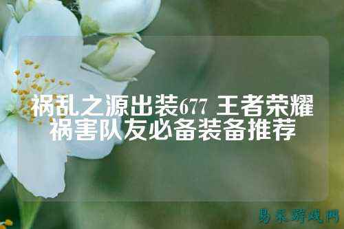 祸乱之源出装677 王者荣耀祸害队友必备装备推荐
