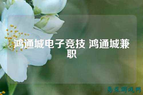 鸿通城电子竞技 鸿通城兼职