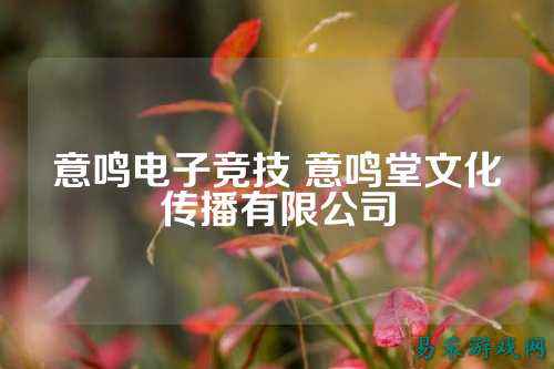 意鸣电子竞技 意鸣堂文化传播有限公司