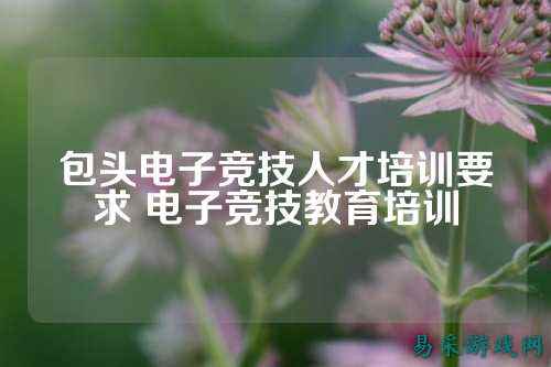 包头电子竞技人才培训要求 电子竞技教育培训