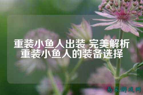 重装小鱼人出装 完美解析重装小鱼人的装备选择