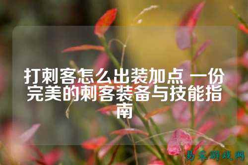 打刺客怎么出装加点 一份完美的刺客装备与技能指南