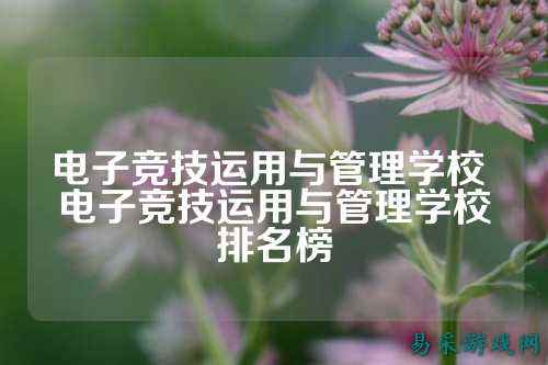 电子竞技运用与管理学校 电子竞技运用与管理学校排名榜