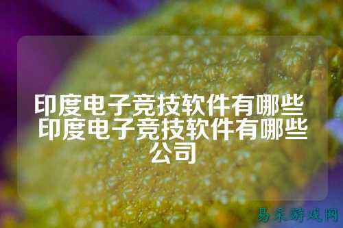 印度电子竞技软件有哪些 印度电子竞技软件有哪些公司