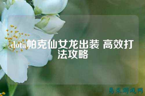 dota帕克仙女龙出装 高效打法攻略