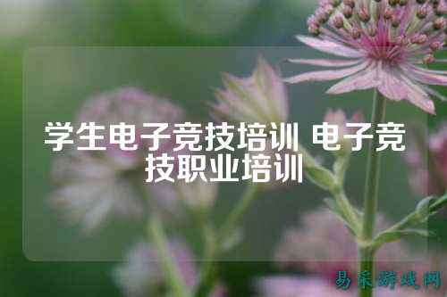 学生电子竞技培训 电子竞技职业培训