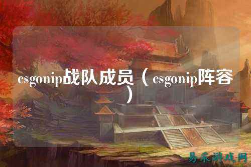 csgonip战队成员(csgonip阵容)