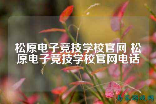松原电子竞技学校官网 松原电子竞技学校官网电话