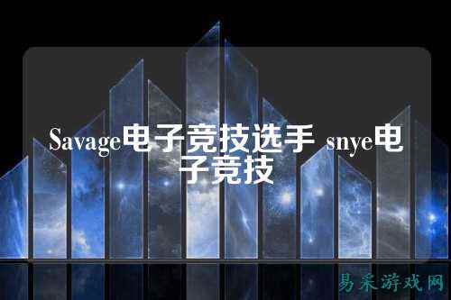 Savage电子竞技选手 snye电子竞技