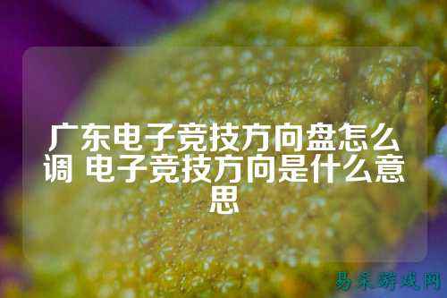 广东电子竞技方向盘怎么调 电子竞技方向是什么意思