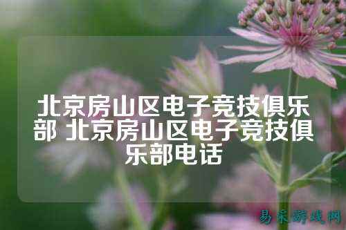 北京房山区电子竞技俱乐部 北京房山区电子竞技俱乐部电话