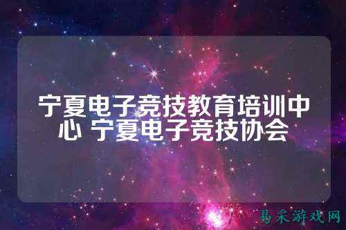 宁夏电子竞技教育培训中心 宁夏电子竞技协会