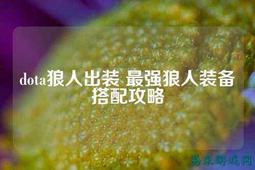 dota狼人出装 最强狼人装备搭配攻略
