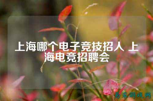 上海哪个电子竞技招人 上海电竞招聘会