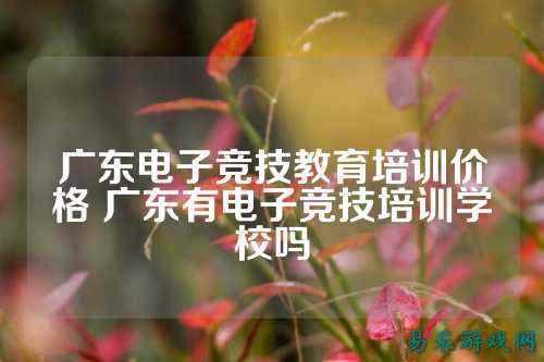 广东电子竞技教育培训价格 广东有电子竞技培训学校吗