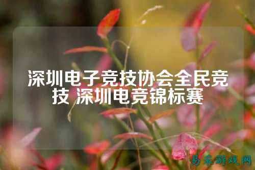 深圳电子竞技协会全民竞技 深圳电竞锦标赛
