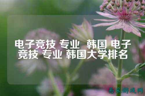 电子竞技 专业  韩国 电子竞技 专业 韩国大学排名