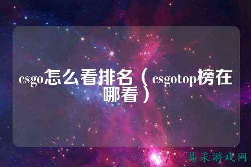 csgo怎么看排名（csgotop榜在哪看）