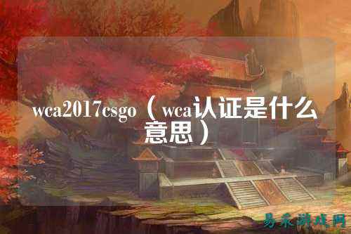 wca2017csgo（wca认证是什么意思）