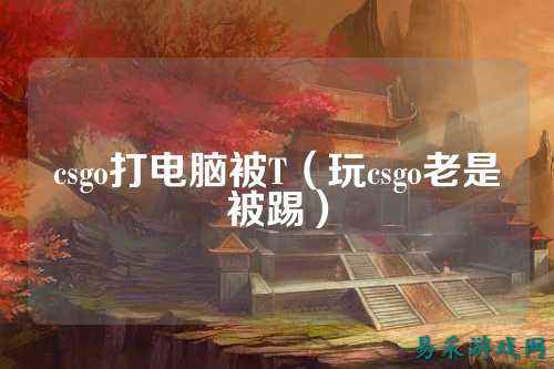 csgo打电脑被T（玩csgo老是被踢）